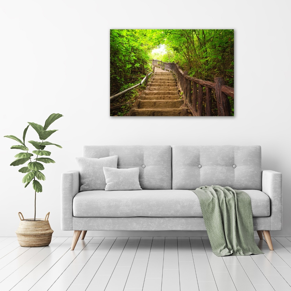 Tableau sur toile Escalier dans la forêt