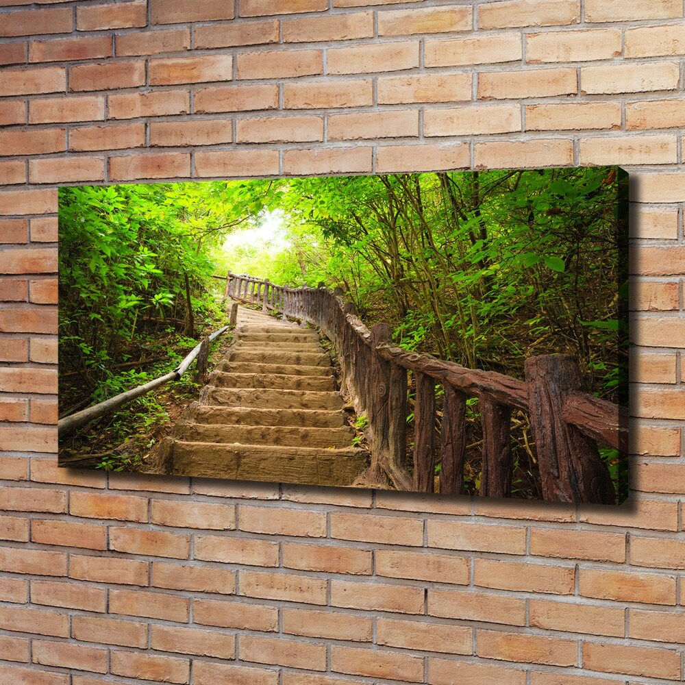 Tableau sur toile Escalier dans la forêt