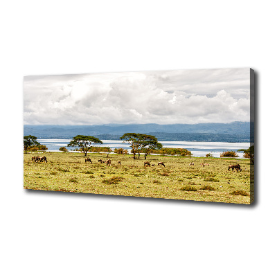 Tableau sur toile Lac Naivasha