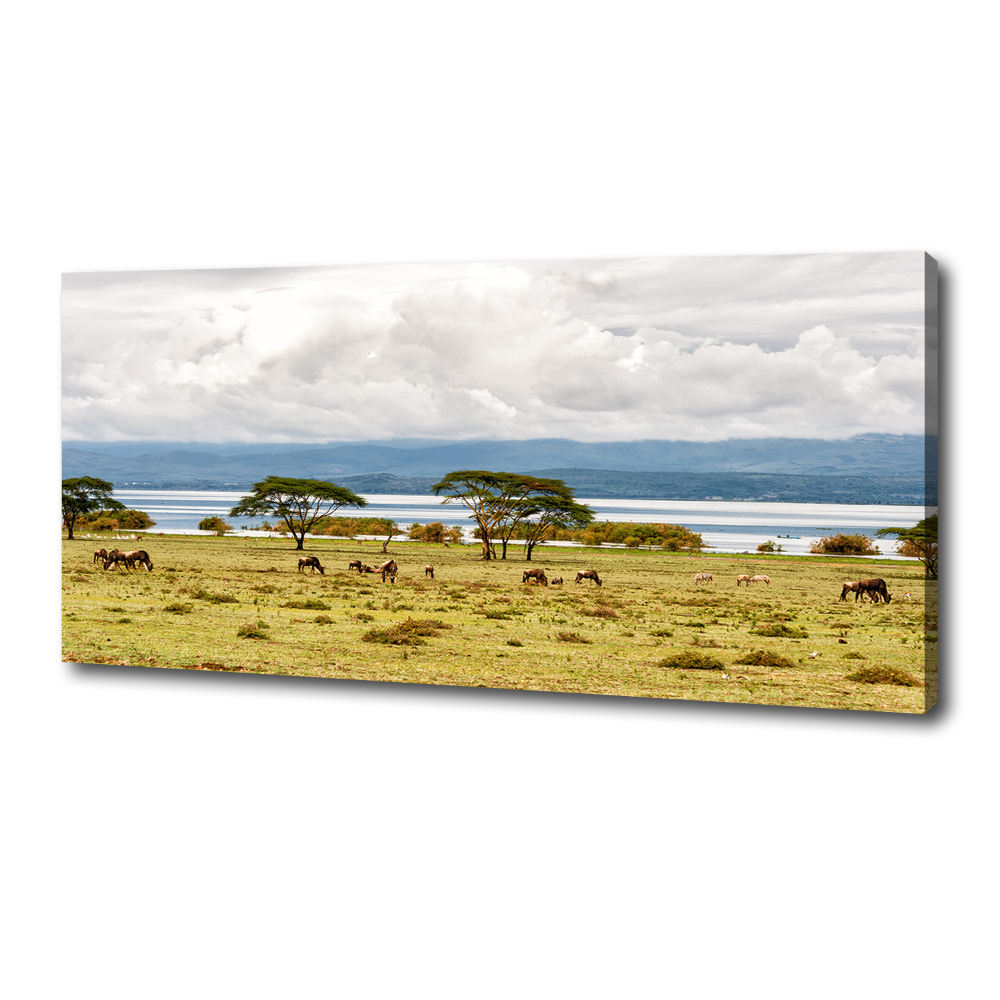 Tableau sur toile Lac Naivasha