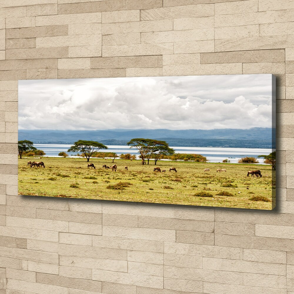 Tableau sur toile Lac Naivasha