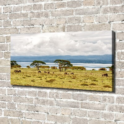 Tableau sur toile Lac Naivasha