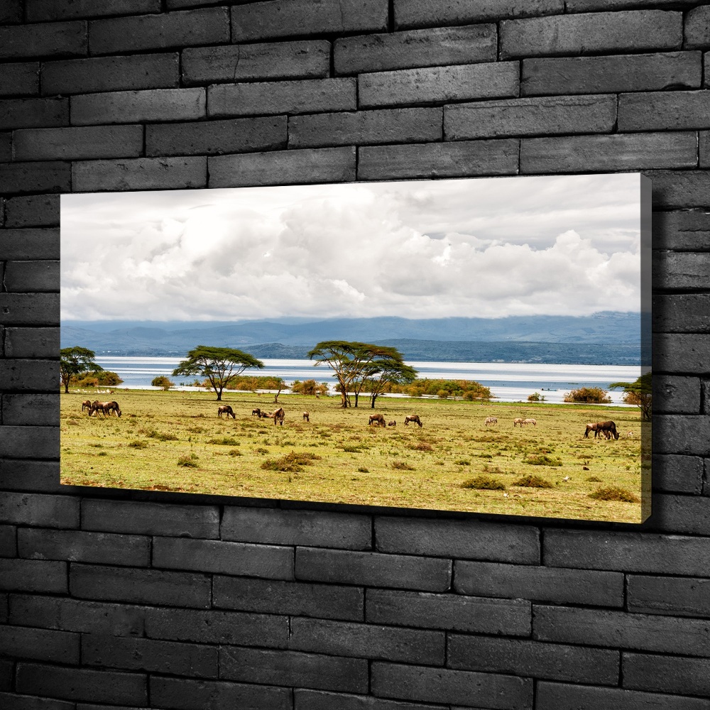 Tableau sur toile Lac Naivasha