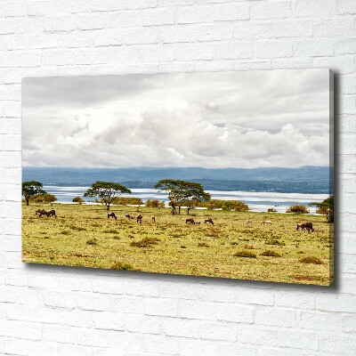 Tableau sur toile Lac Naivasha