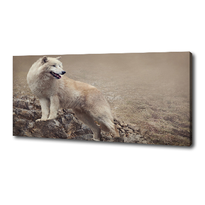 Tableau sur toile Loup blanc sur un rocher