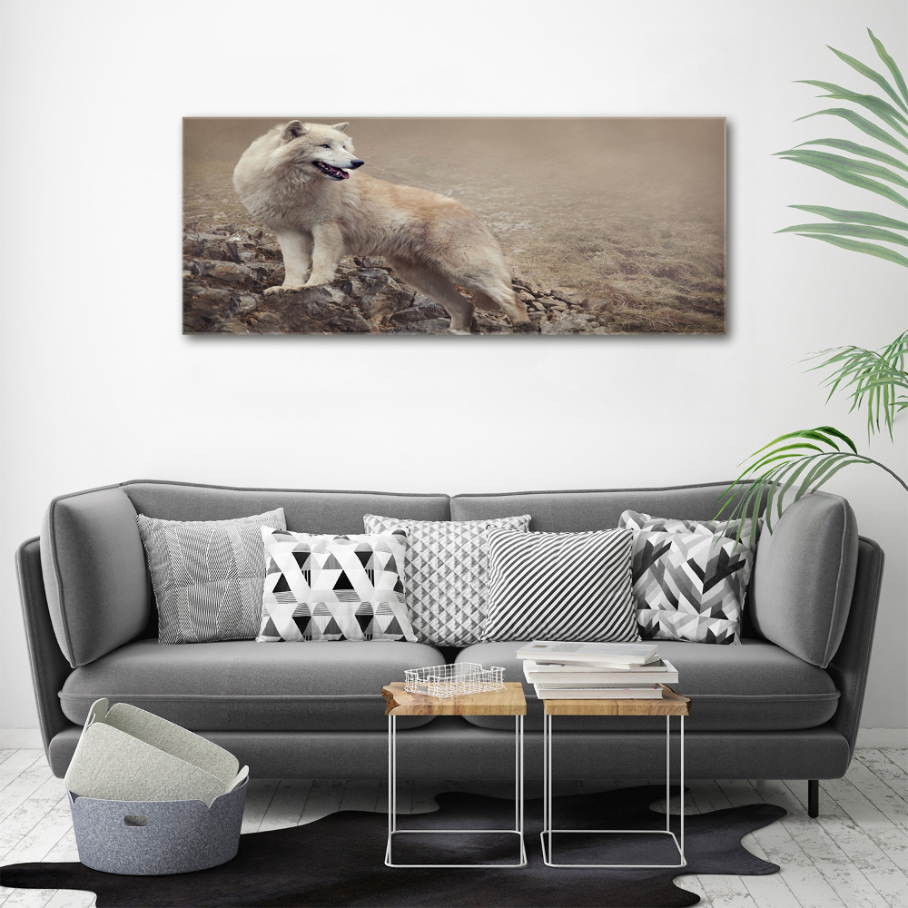 Tableau sur toile Loup blanc sur un rocher