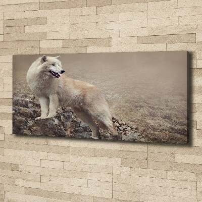 Tableau sur toile Loup blanc sur un rocher