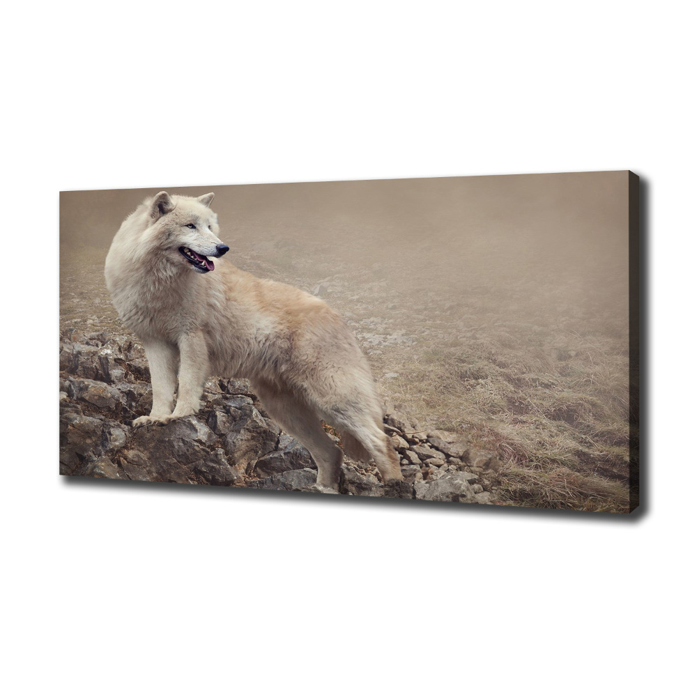 Tableau sur toile Loup blanc sur un rocher