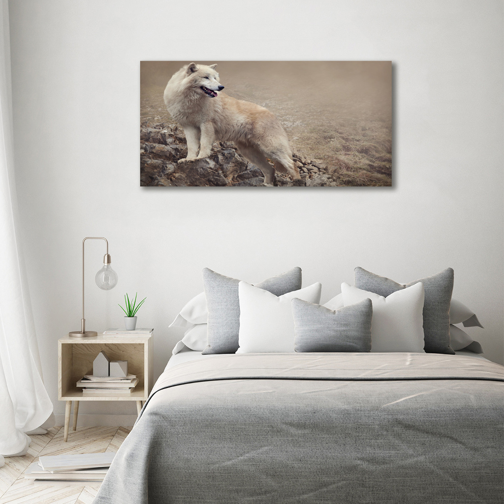 Tableau sur toile Loup blanc sur un rocher