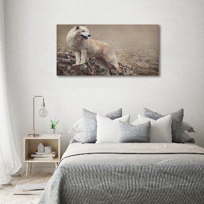 Tableau sur toile Loup blanc sur un rocher