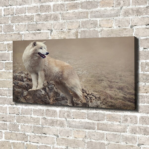 Tableau sur toile Loup blanc sur un rocher