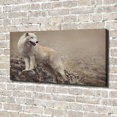 Tableau sur toile Loup blanc sur un rocher