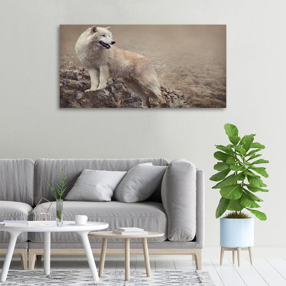 Tableau sur toile Loup blanc sur un rocher