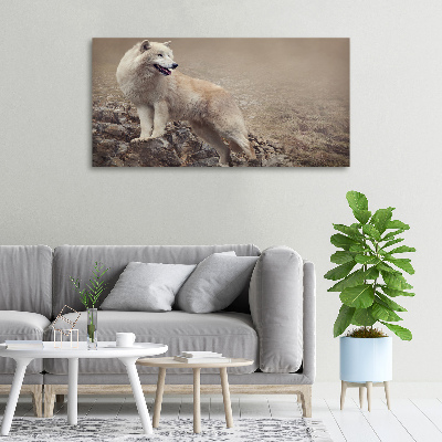 Tableau sur toile Loup blanc sur un rocher