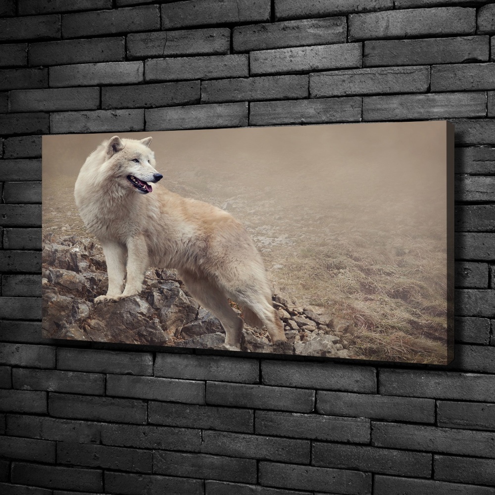 Tableau sur toile Loup blanc sur un rocher