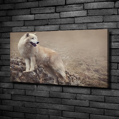 Tableau sur toile Loup blanc sur un rocher