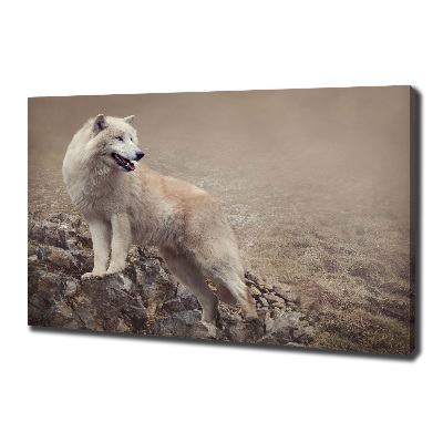 Tableau sur toile Loup blanc sur un rocher