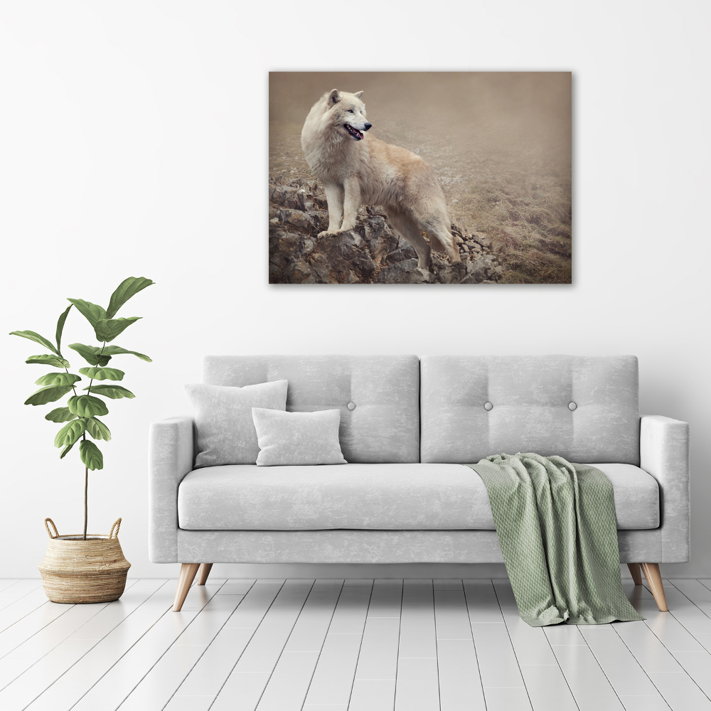 Tableau sur toile Loup blanc sur un rocher