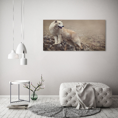 Tableau sur toile Loup blanc sur un rocher