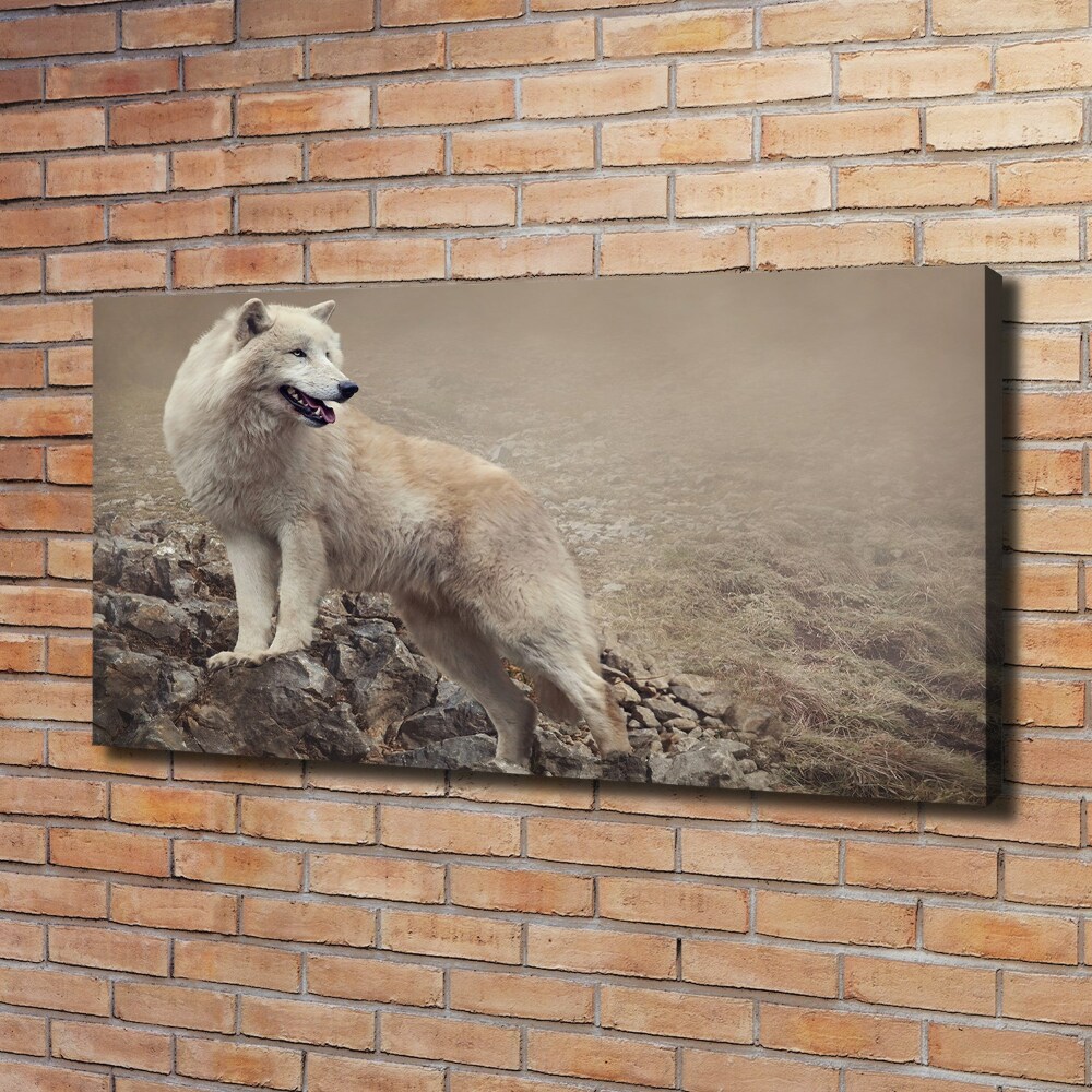 Tableau sur toile Loup blanc sur un rocher