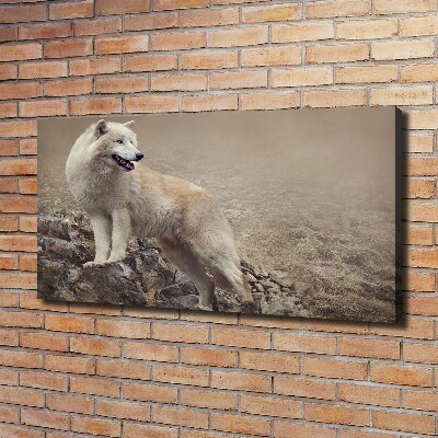 Tableau sur toile Loup blanc sur un rocher