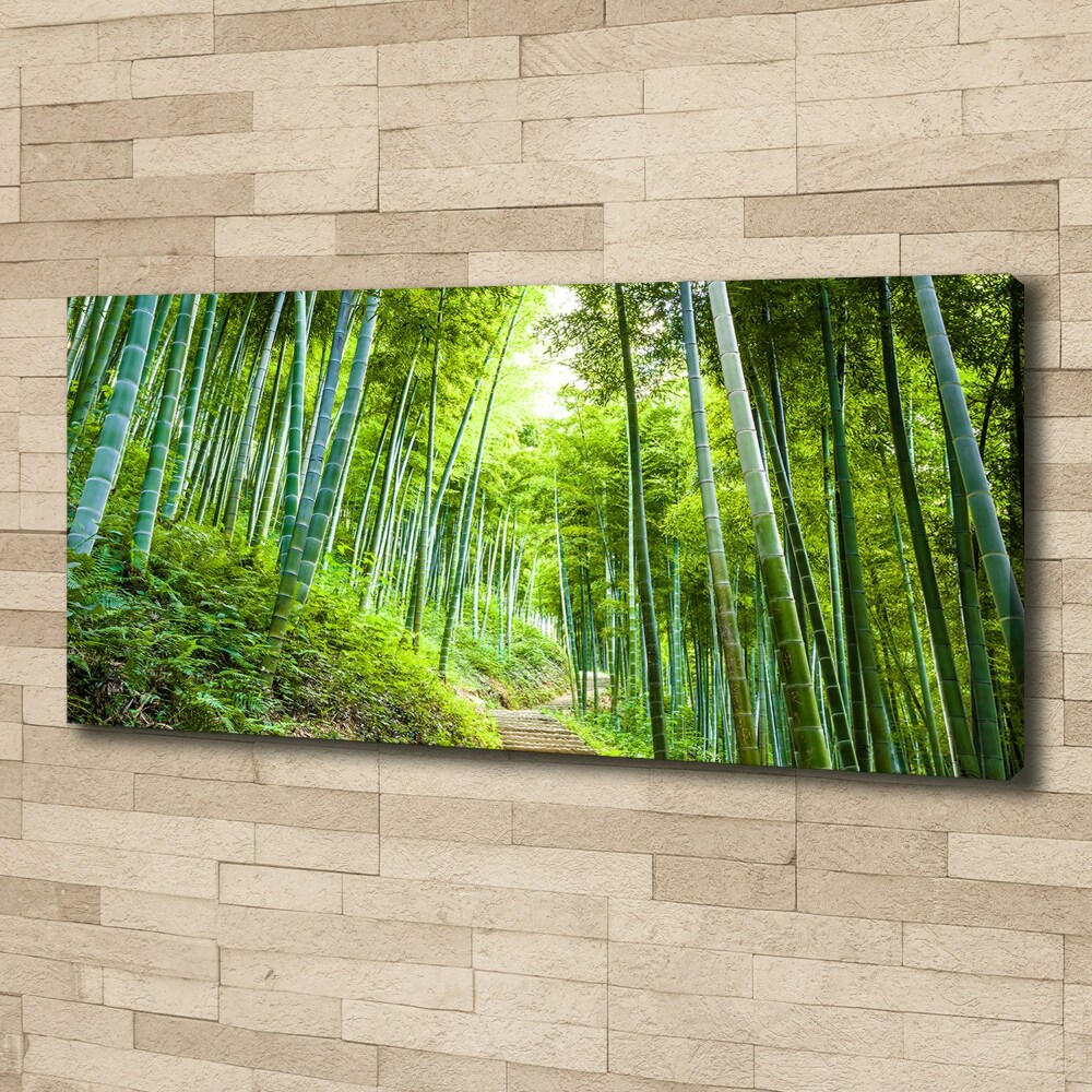 Tableau mural sur toile Forêt de bambous