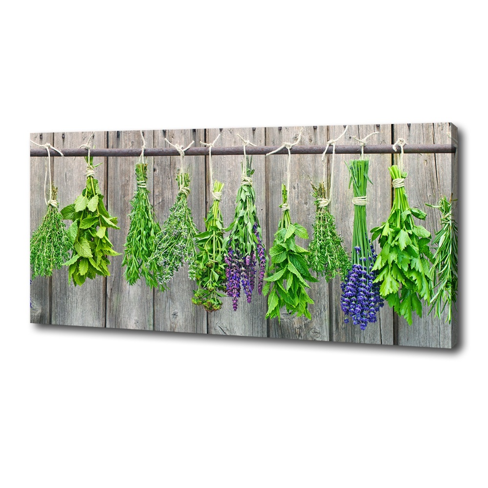 Tableau mural sur toile Herbes sur un fil