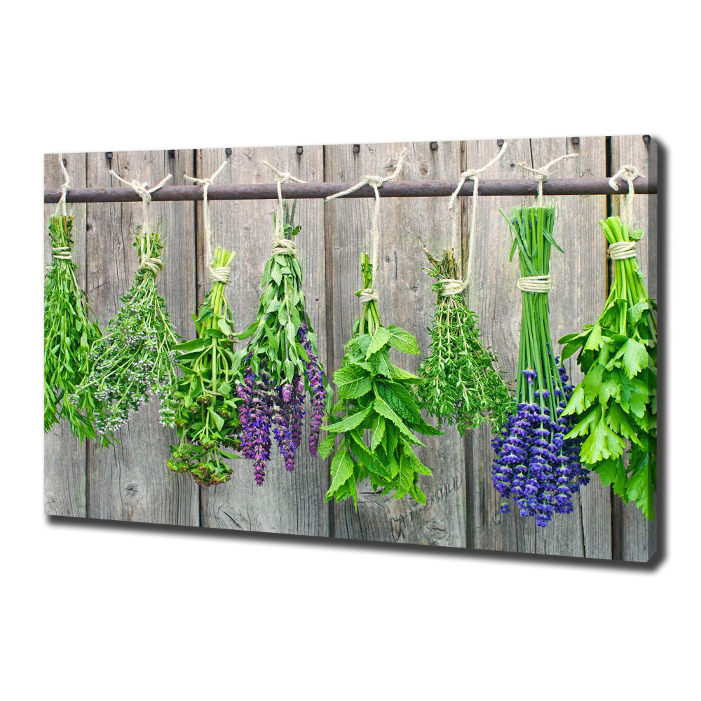 Tableau mural sur toile Herbes sur un fil