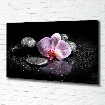 Tableau sur toile Orchidée