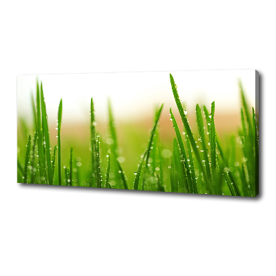 Tableau mural sur toile Herbe