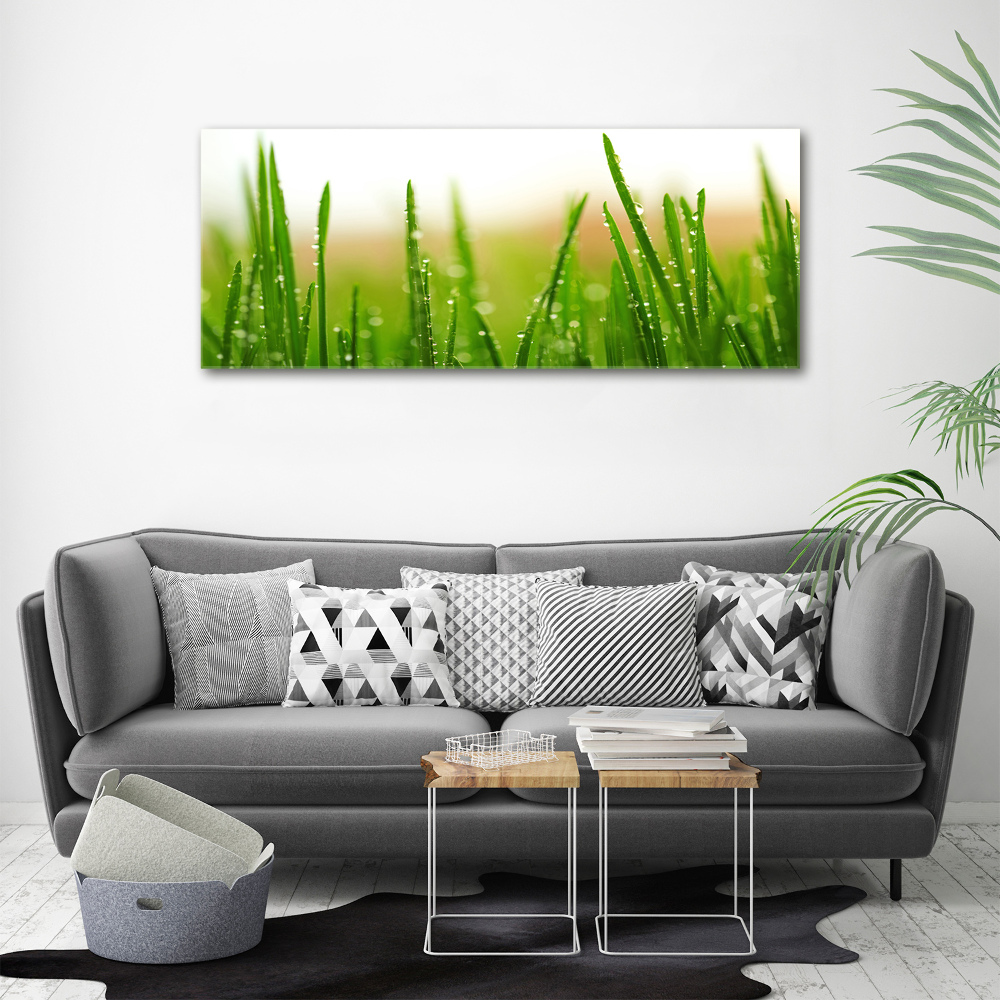 Tableau mural sur toile Herbe