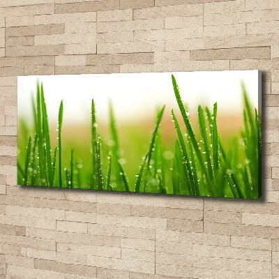 Tableau mural sur toile Herbe