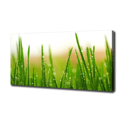 Tableau mural sur toile Herbe