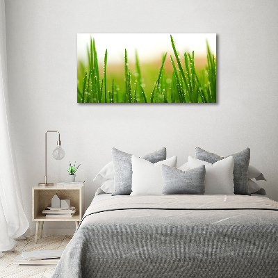 Tableau mural sur toile Herbe