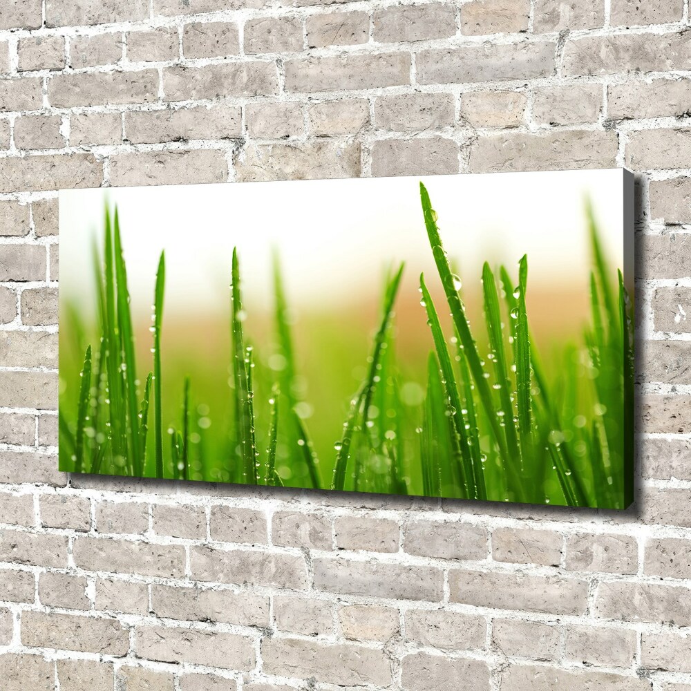 Tableau mural sur toile Herbe