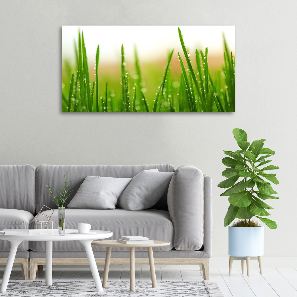 Tableau mural sur toile Herbe