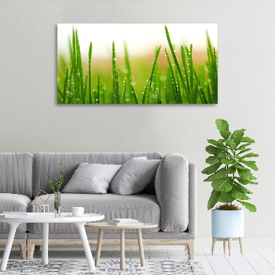 Tableau mural sur toile Herbe