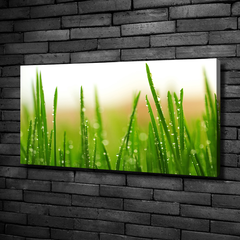 Tableau mural sur toile Herbe