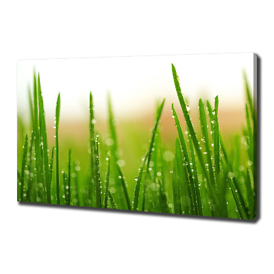 Tableau mural sur toile Herbe