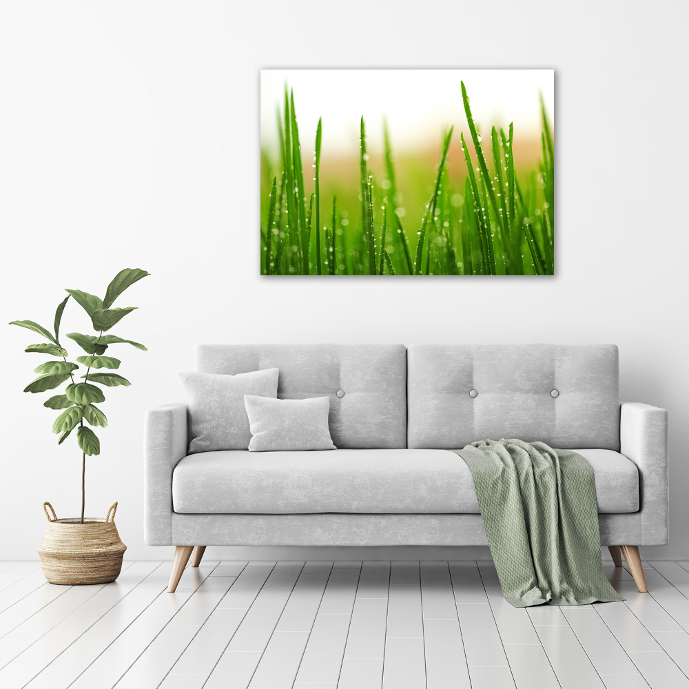 Tableau mural sur toile Herbe