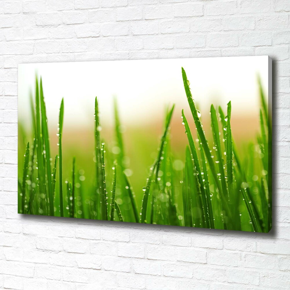 Tableau mural sur toile Herbe