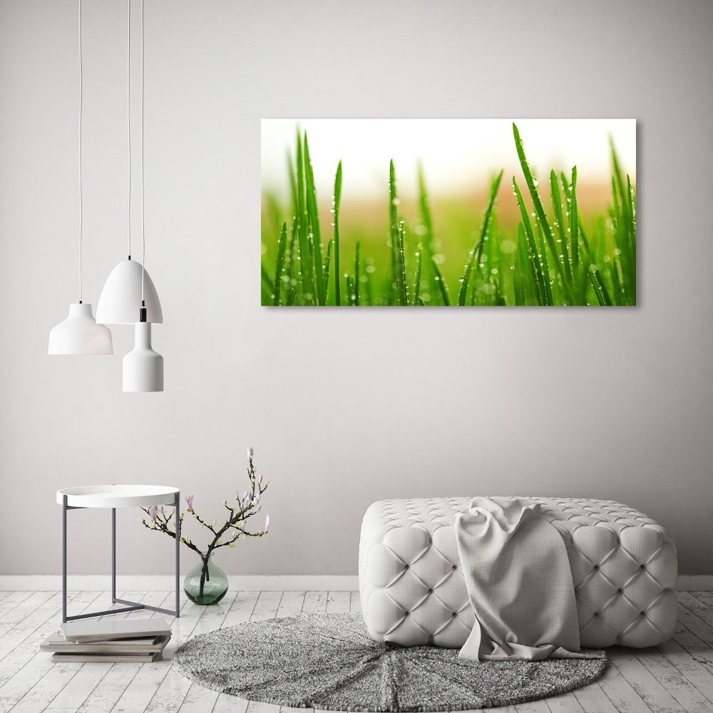 Tableau mural sur toile Herbe