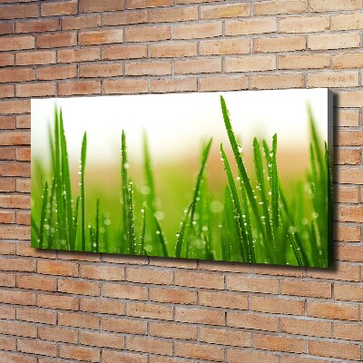 Tableau mural sur toile Herbe