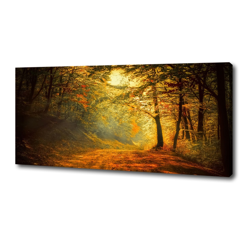 Tableau toile imprimée Forêt d'automne