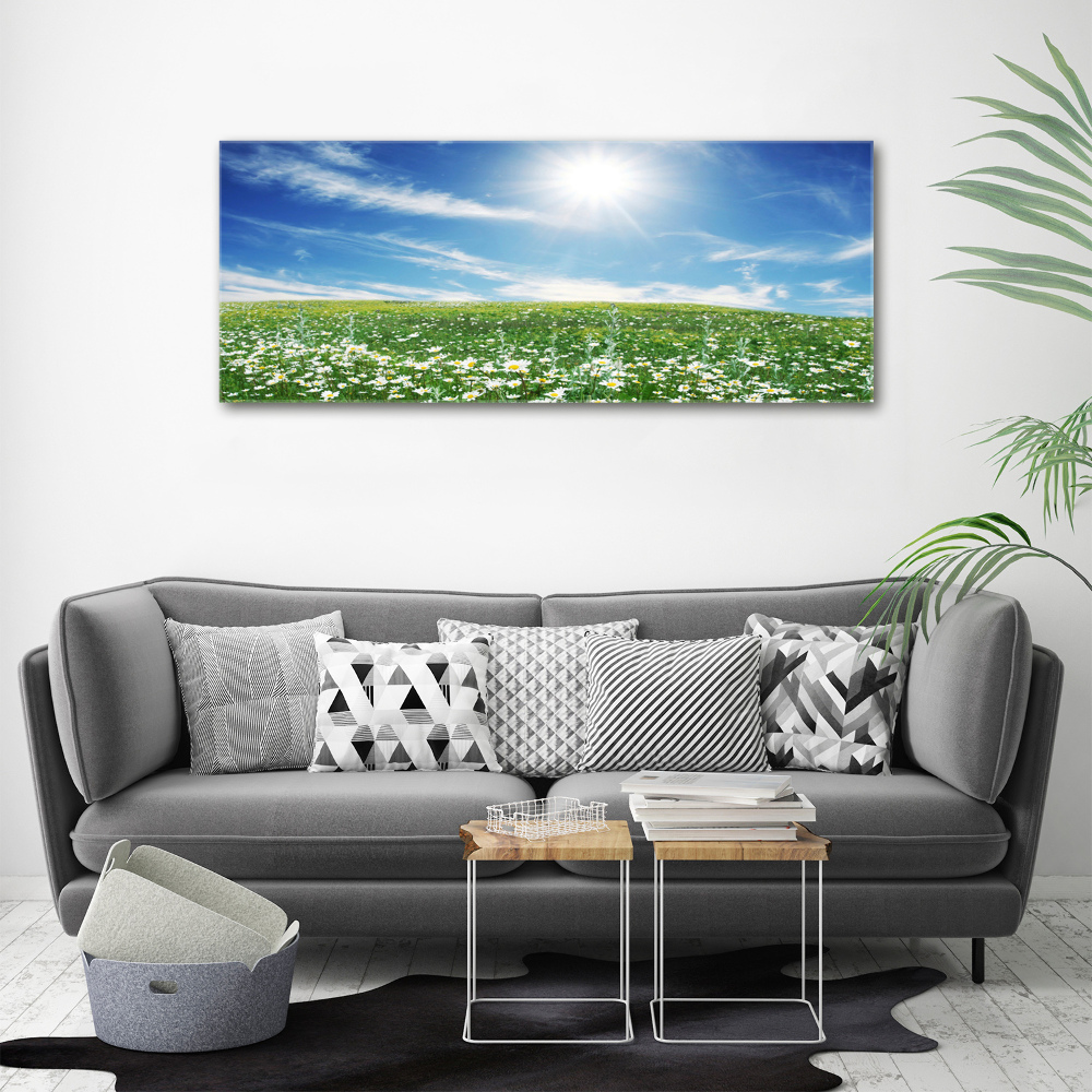 Tableau sur toile Prairie