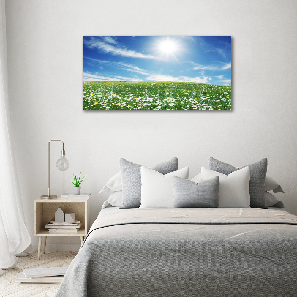 Tableau sur toile Prairie