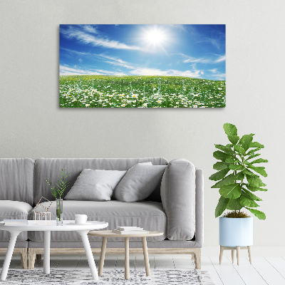 Tableau sur toile Prairie