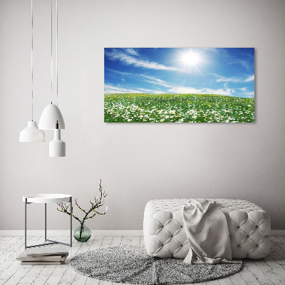 Tableau sur toile Prairie