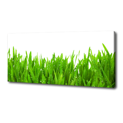 Tableau mural sur toile Herbe