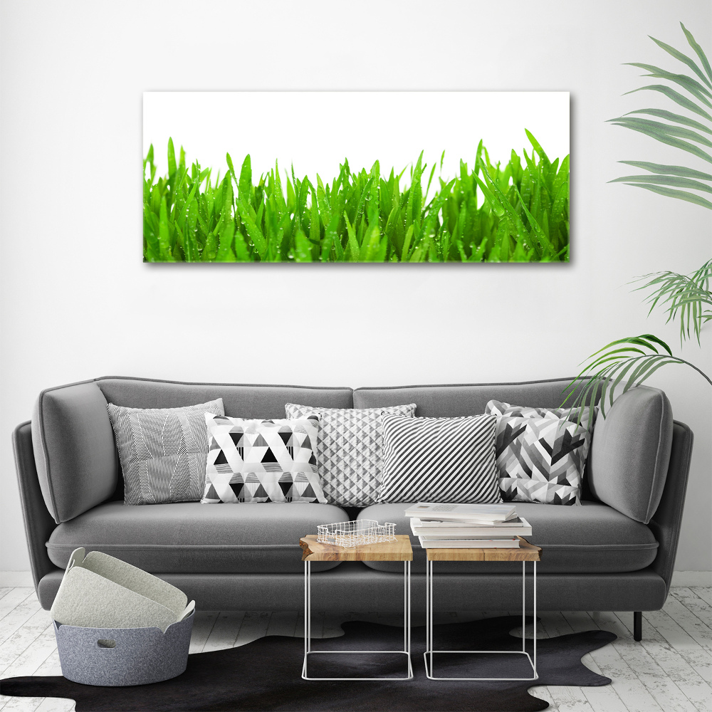 Tableau mural sur toile Herbe